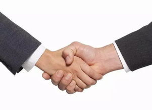 會(huì)展 繁榮的見證，經(jīng)濟(jì)貿(mào)易咨詢的璀璨舞臺(tái)